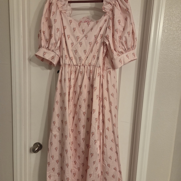 Dondolo Pink Floral Grace Rose Farm Seraphina Dress XXL - Picture 11 of 14